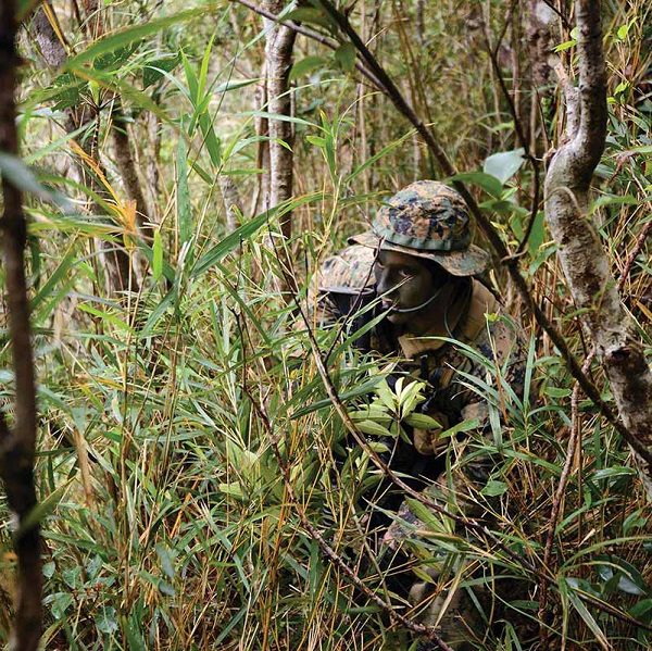 a Marine stalks the jungle wearing Woodland MARPAT BDU and boonie cover