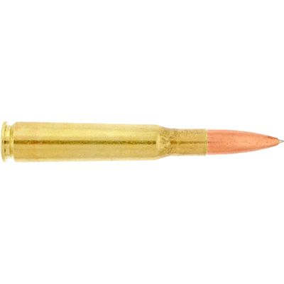 a .50 caliber bullet pin
