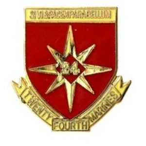 24th Marine Regiment Pin