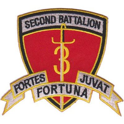 2nd Bn 3rd Marines Patch