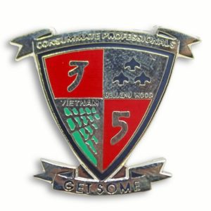 3rd Battalion 5th Marines Pin