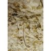 Marine Corps goretex desert pants