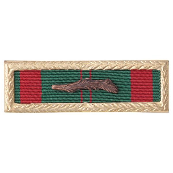 RVN Civil Actions Unit Citation Ribbon with Frame and Palm