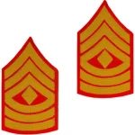 a pair of Marine Corps Chevron First Sergeant