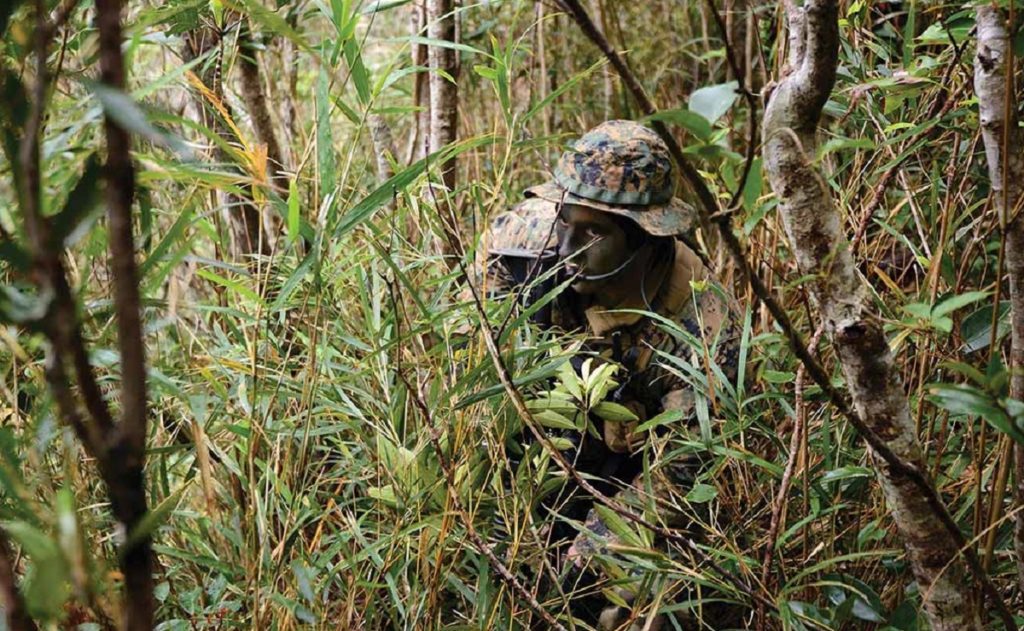 a Marine camouflaged in the jungle 