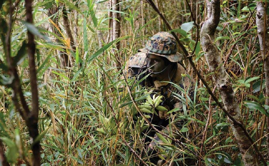 a Marine camouflaged in the jungle