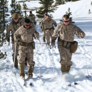 USMC War Belt - Military Padded Operators Belt - Devil Dog Depot