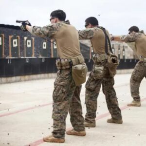 USMC War Belt - Military Padded Operators Belt - Devil Dog Depot