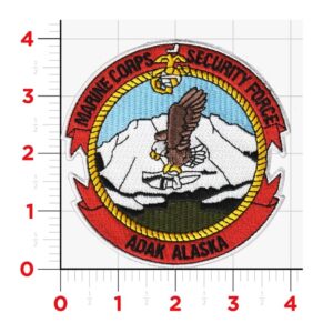 a Marine Corps Security Force patch